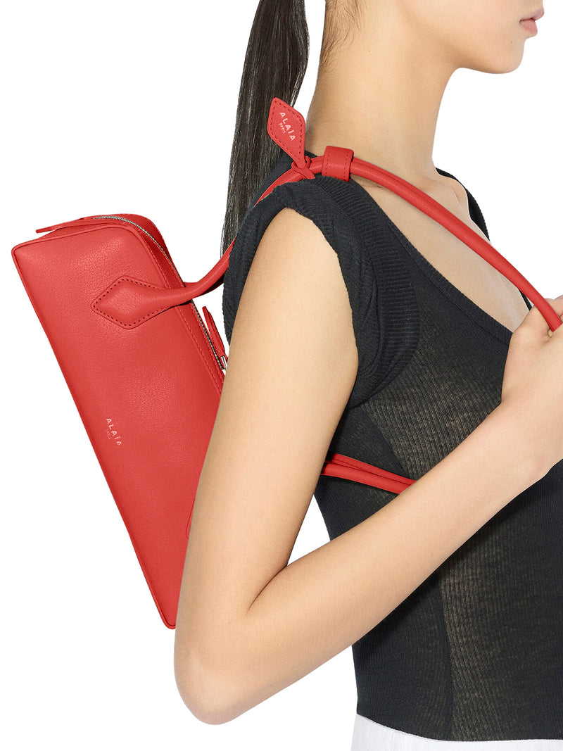 LE TECKEL SMALL IN GOATSKIN