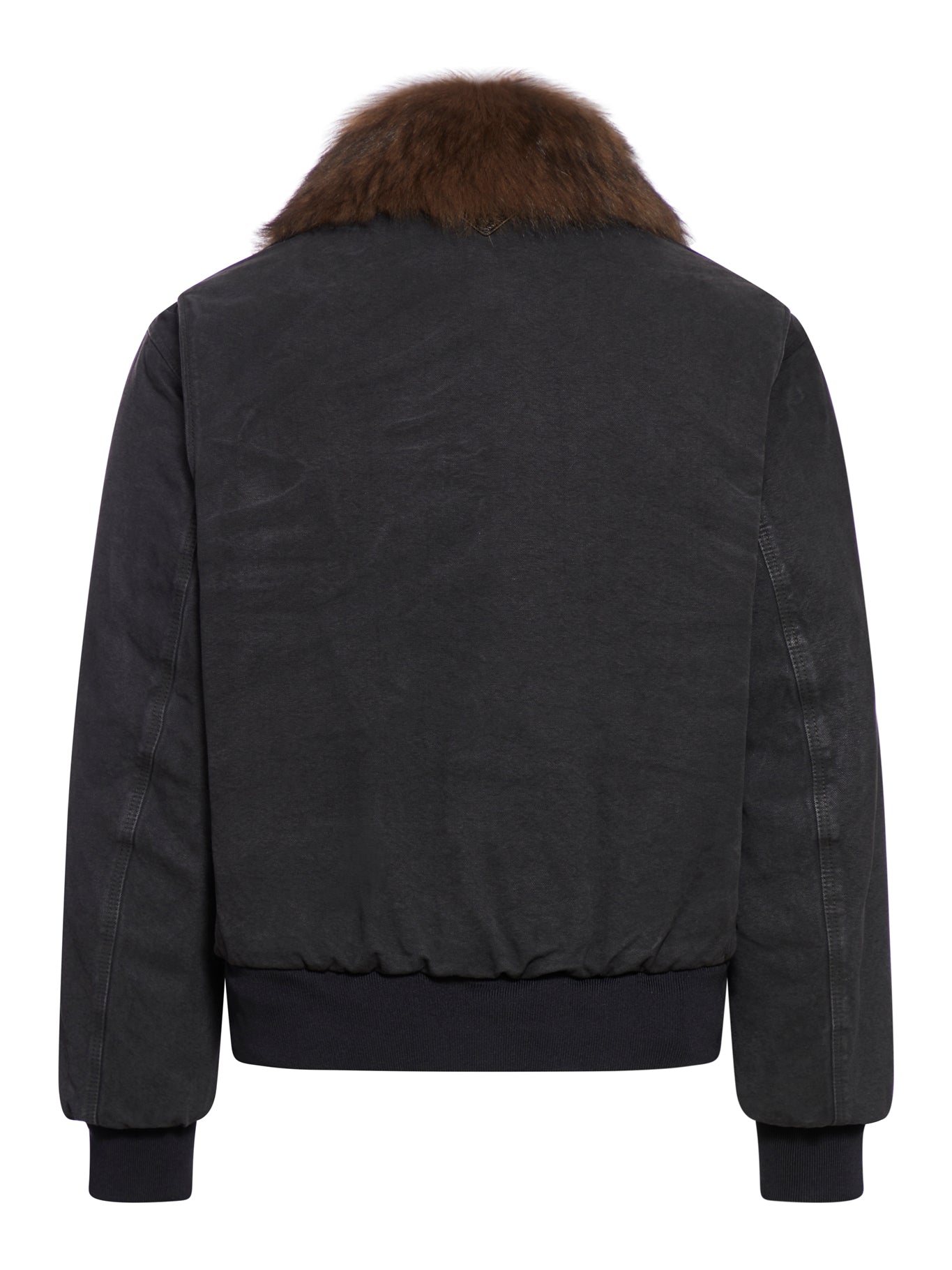 Cotton blouson with shearling collar