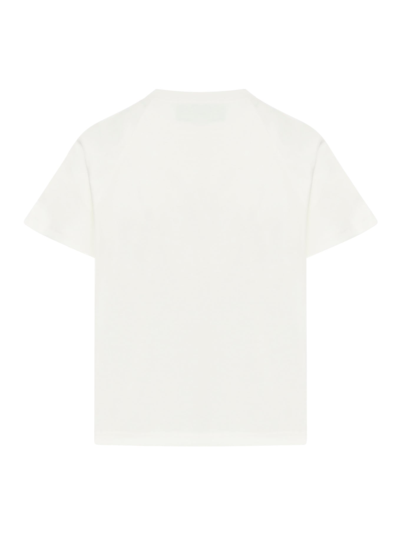 S/S T-SHIRT COTTON JERSEY