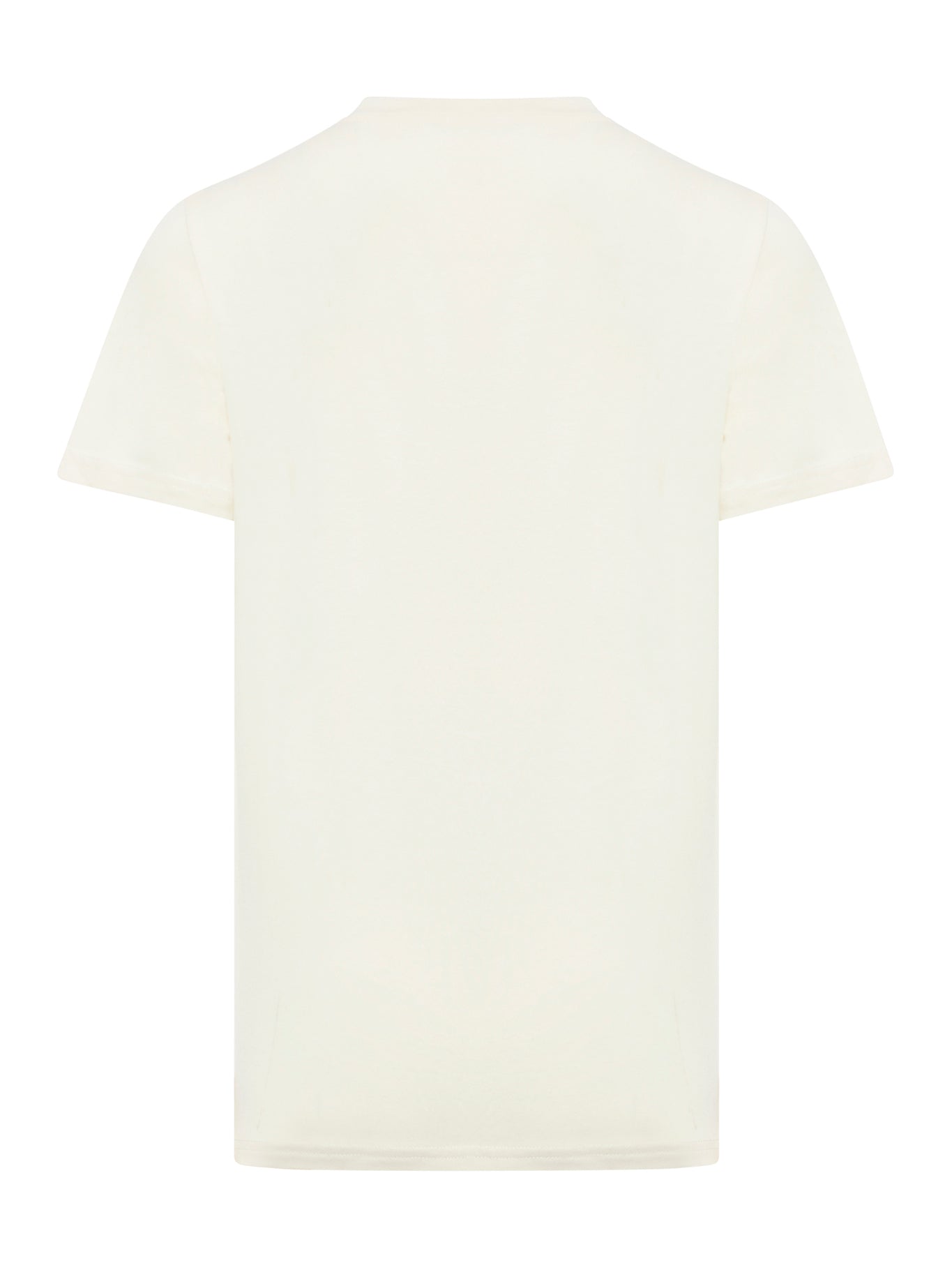 Raymond APC T-Shirt in cotton